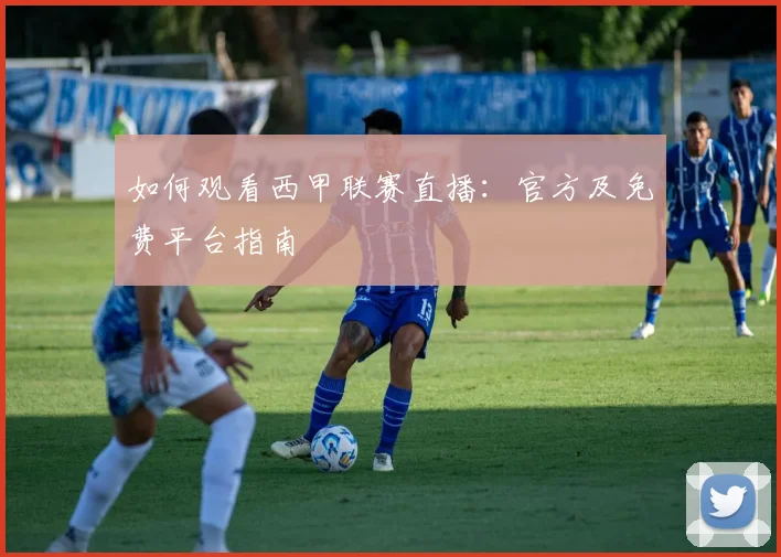 如何观看西甲联赛直播：官方及免费平台指南