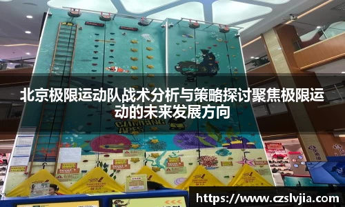 北京极限运动队战术分析与策略探讨聚焦极限运动的未来发展方向