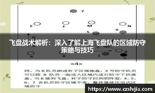 飞盘战术解析：深入了解上海飞盘队的区域防守策略与技巧