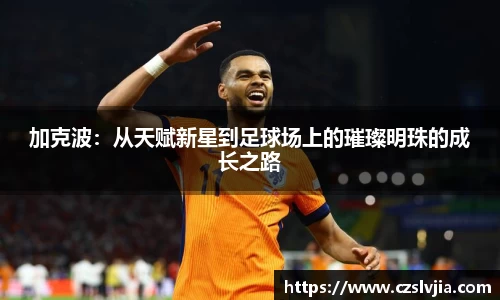 加克波：从天赋新星到足球场上的璀璨明珠的成长之路